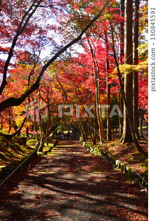 Autumn, Kita-Omi, Keisokuji Temple Autumn, Kita-Omi, Keisokuji Temple 130845591