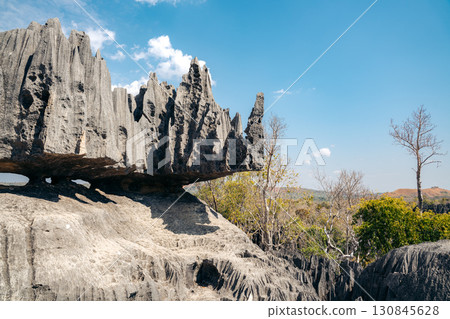 Limestone formations create a unique landscape in Tsingy de Bemaraha National Park, Madagascar 130845628