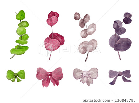 Four types of eucalyptus and bows: light green, ruby, brown and purple. A large set for your design. Watercolor elements Four types of eucalyptus and bows: light green, ruby, brown and purple. A large set for your design. Watercolor elements 130845793