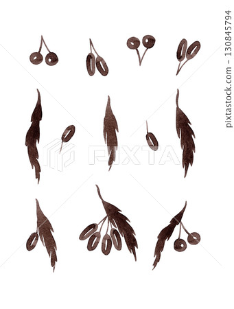 Set of brown leaves and berries. Watercolor isolated elements for your design Set of brown leaves and berries. Watercolor isolated elements for your design 130845794