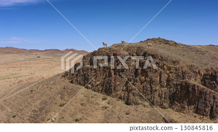 ram statue with mountain landscape in Mongolia ram statue with mountain landscape in Mongolia 130845816