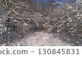 Beautiful winter forest covered with snow 130845831