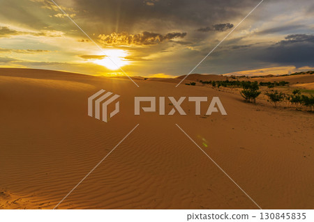 Landscape in desert at sunset Landscape in desert at sunset 130845835