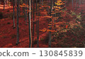 Leaves are falling in bright autumn forest 130845839