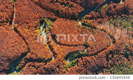 Aerial top view of curved road trough autumn forest Aerial top view of curved road trough autumn forest 130845848