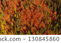 Aerial of autumn forest in Carpathian mountains 130845860