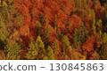 Aerial of autumn forest in Carpathian mountains 130845863