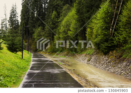 A winding path and stream meander through a lush green forest, offering a serene natural scene. Tall trees create a peaceful atmosphere in a misty day A winding path and stream meander through a lush green forest, offering a serene natural scene. Tall trees create a peaceful atmosphere in a misty day 130845903