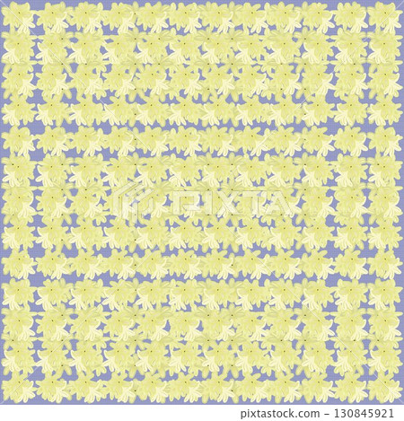 風信子花瓣壁紙 風信子花瓣壁紙 130845921