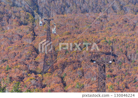 秋季八甲田山索道 130846224