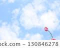 雙櫻桃在藍天下 130846278