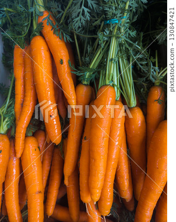 Fresh carrots with green tops 130847421