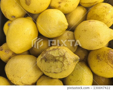 Close-up of a pile of fresh yellow lemons with natural imperfections Close-up of a pile of fresh yellow lemons with natural imperfections 130847422