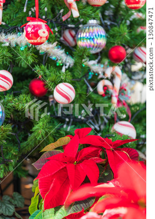 一品紅聖誕形象 130847471