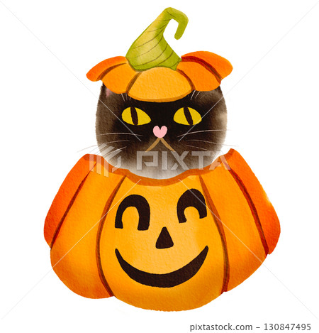 cute brown cat peeking out of halloween pumpkin hand drawn in watercolor style 130847495