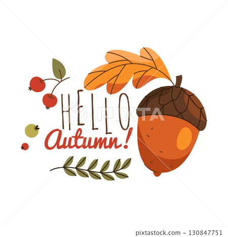 Autumn poster or fall placard with acorn and leaf. Vector September greeting sign or season harvest celebration card. Holiday seasonal message or nature decoration banner with text. Foliage and plant. 130847751
