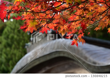十一月：大阪河內長野延命寺的瓦片和秋葉 130848215