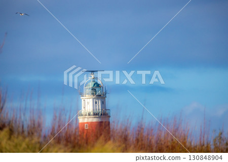 Eierland, De Cocksdorp, Texel, The Netherlands, Oktober 28th, 2024, A Beautiful Scenic Lighthouse 130848904