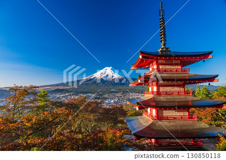 <Yamanashi Prefecture> Cherry blossoms and autumn foliage at Arakurayama Sengen Park, Chureito Pagoda and fresh snow on Mt. Fuji 130850118