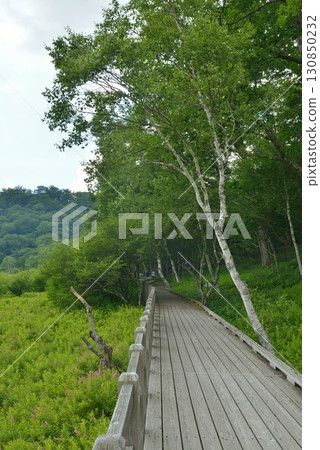 Oku-Nikko Odashirogahara 130850232