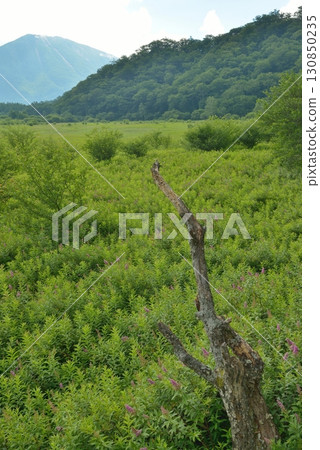 Oku-Nikko Odashirogahara Oku-Nikko Odashirogahara 130850235