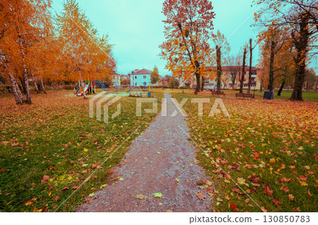 Autumn park with fallen leaves on the grass Autumn park with fallen leaves on the grass 130850783