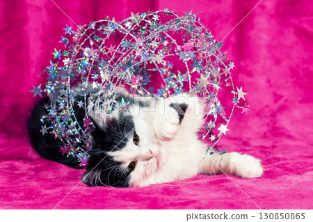 Funny little kitten wrapped in Christmas glitter garland lies on a soft purple blanket. Christmas concept 130850865