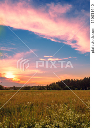 Rural landscape in the evening at sunset. Vertical shot Rural landscape in the evening at sunset. Vertical shot 130851640