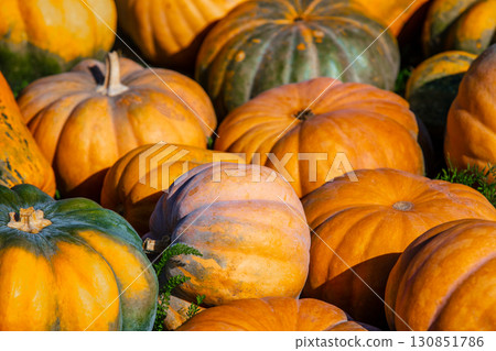 Full frame background of Pumpkins. Many Pumpkins on the hay. Autumn background. Halloween Thanksgiving Autumn Harvest background Full frame background of Pumpkins. Many Pumpkins on the hay. Autumn background. Halloween Thanksgiving Autumn Harvest background 130851786