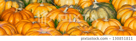 Full frame background of Pumpkins. Many Pumpkins on the hay. Autumn background. Halloween, Thanksgiving, Autumn, Harvest background. Horizontal banner Full frame background of Pumpkins. Many Pumpkins on the hay. Autumn background. Halloween, Thanksgiving, Autumn, Harvest background. Horizontal banner 130851811