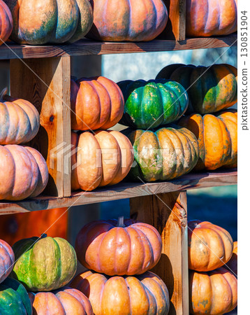 Pumpkins House wall. Halloween, Thanksgiving, autumn harvest background Pumpkins House wall. Halloween, Thanksgiving, autumn harvest background 130851904