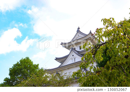 Ogaki Castle (Ogaki City, Gifu Prefecture) 130852067