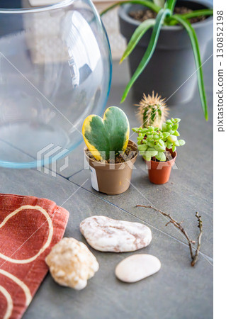 Natural materials and decorative elements prepared for creating a closed terrarium or glass ecosystem. Concept of DIY plant design, eco-conscious living and creative home projects. 130852198