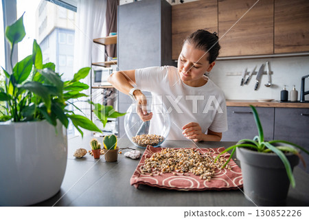 Young woman pouring stones into a glass container while preparing a terrarium. Concept of mindful crafting, eco-friendly lifestyle and home plant design. Young woman pouring stones into a glass container while preparing a terrarium. Concept of mindful crafting, eco-friendly lifestyle and home plant design. 130852226