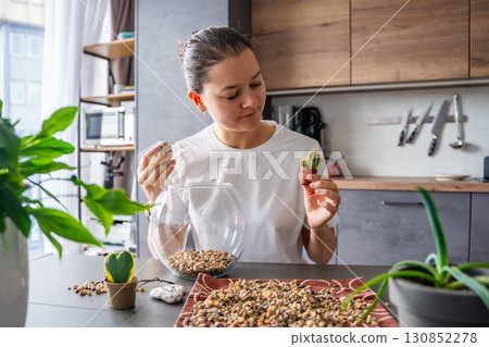 Young woman looking at small cacti while planning the arrangement of a future terrarium. Concept of creative thinking, eco-friendly design and mindful connection with nature. Young woman looking at small cacti while planning the arrangement of a future terrarium. Concept of creative thinking, eco-friendly design and mindful connection with nature. 130852278