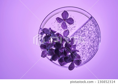 Three-piece petri dish with lilac flowers and whey texture. 130852314