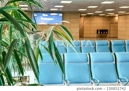 Tranquil airport waiting area with a row of empty turquoise seats, suggesting a peaceful moment before the bustle. The scene is brightened by indoor plants, inviting a sense of calm amidst travel 130852742