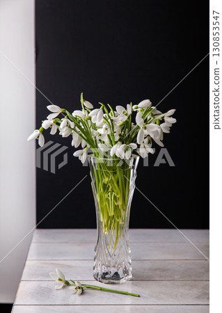 Bouquet of white snowdrops Galanthus nivalis in glass jar on dark tones on wooden background, still life in Feigned carelessness 130853547