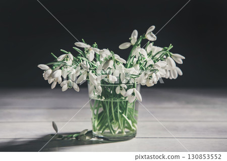 Bouquet of white snowdrops Galanthus nivalis in glass jar on dark tones on wooden background 130853552