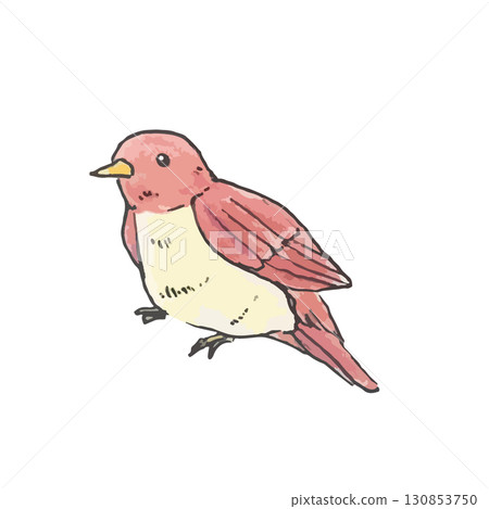 可愛的小鳥插圖（紅色） 130853750