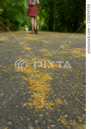 Girl on a scooter Girl on a scooter 130854358