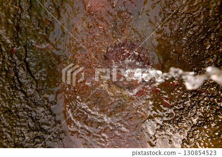 Circles on the water 130854523