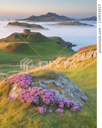 Serene Coastal Landscape Sunrise Misty Cliffs Purple Flowers Rolling Hills Scenic View sea sky calm 130854817