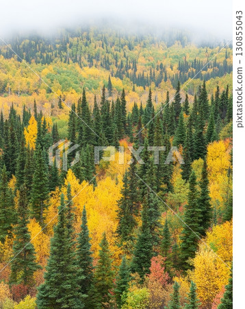 abstract blue background with clouds 130855043