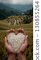 Two hands holding a lot of white, uncooked rice. The rice is forming a heart shape.  130855264