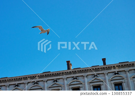 Seagull flying over historic building against blue sky 130855337