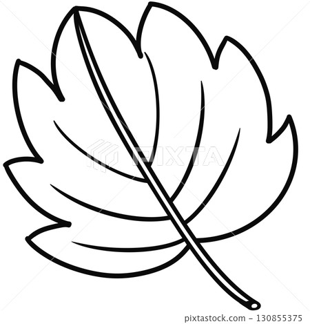 Minimalist Outline Drawing of a Autumn, Elegant Design, Cute hand drawn. 130855375