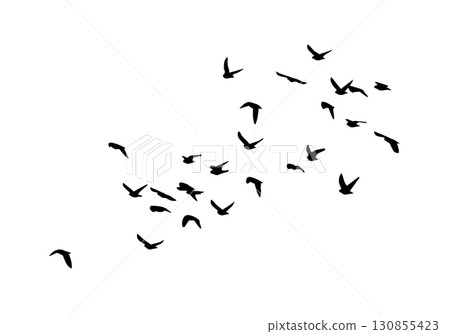 Flying birds silhouette flock. hand drawing. Not AI. Vector illustration Flying birds silhouette flock. hand drawing. Not AI. Vector illustration 130855423