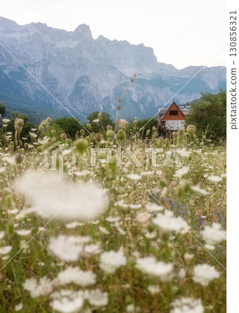 Rural Summer Landscape in Theth National Park Rural Summer Landscape in Theth National Park 130856321