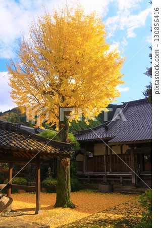 Autumn leaves in the grounds of Fukuseiji Temple (Izushi-cho, Toyooka City, Hyogo Prefecture) 130856416